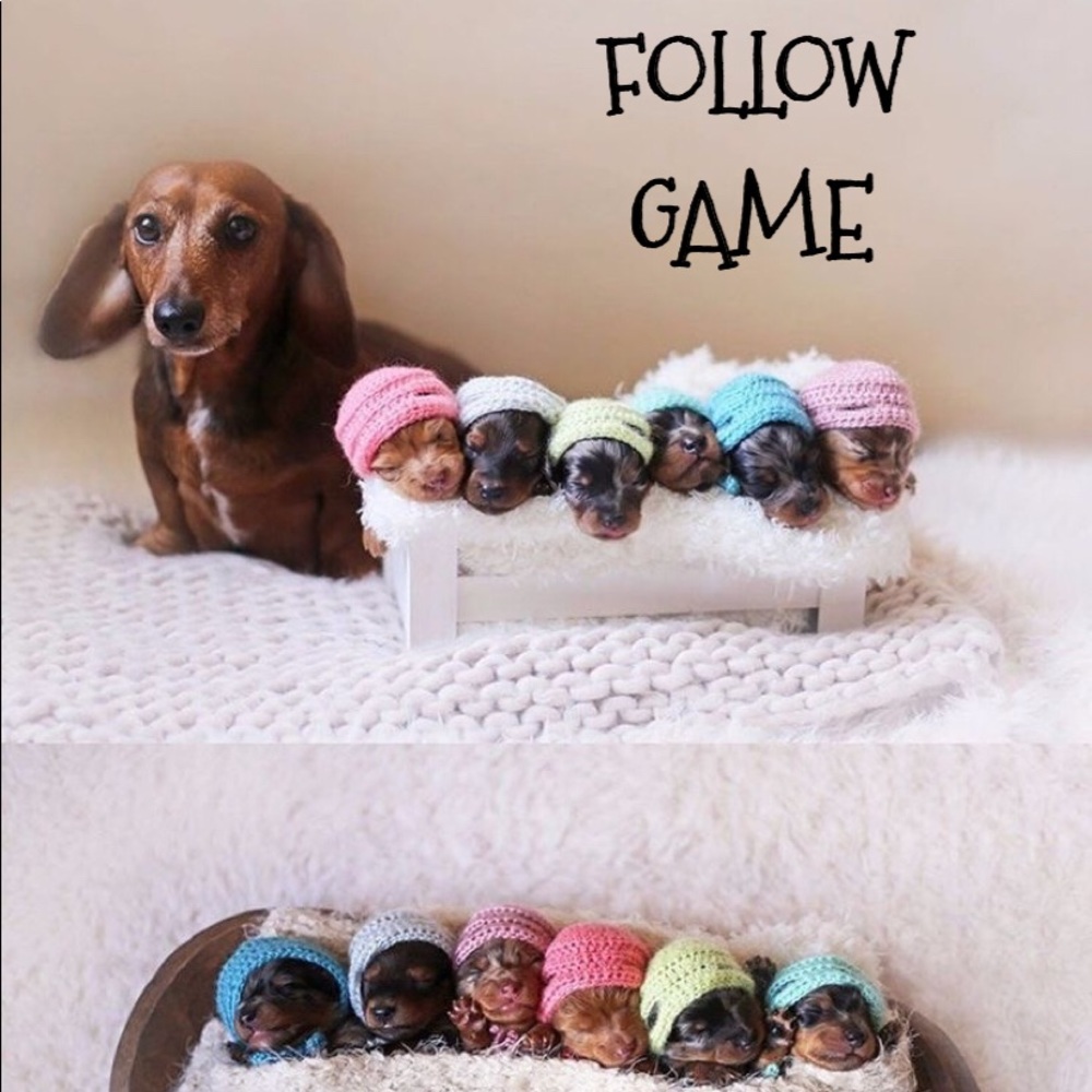 First FG💝/ Follow 🆕Blues - Picture 1 of 4